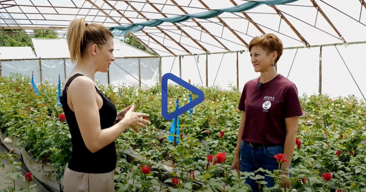 A Kénosi Rózsa- és Virágfarmon jártunk